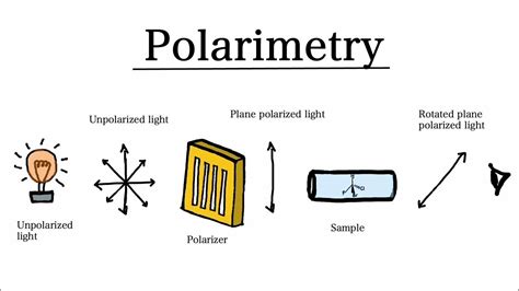 polarimeter vs|how does a polarimeter work.